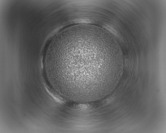 X0000071940302200607071151