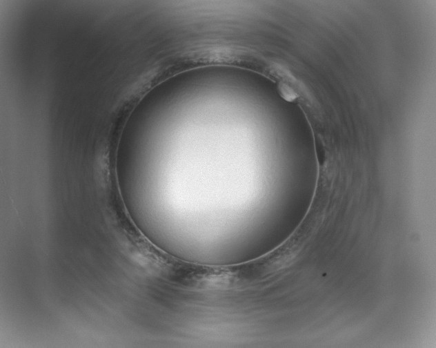 X0000071940306200607071151