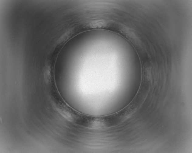 X0000071940308200607071151