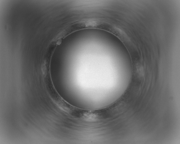 X0000071940311200607071151