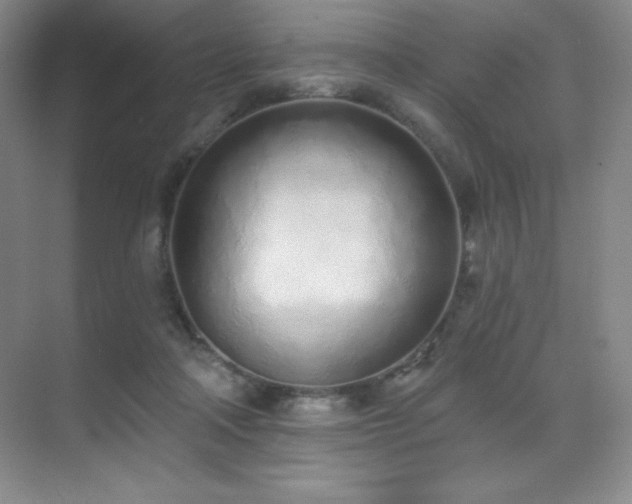 X0000071940314200607071151