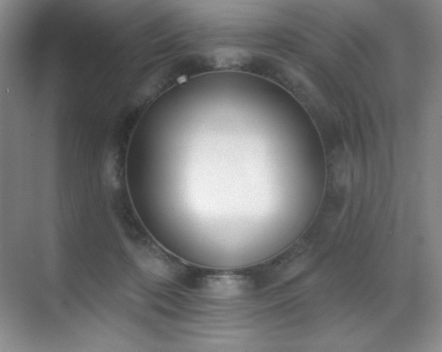 X0000071940316200607071151
