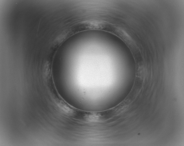 X0000071940318200607071151