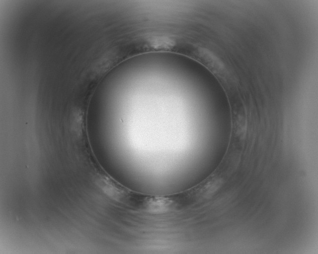 X0000071940321200607071151