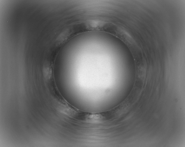 X0000071940324200607071151