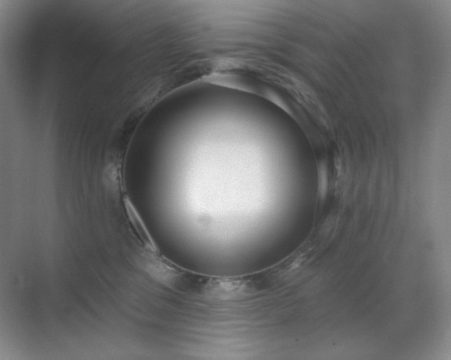 X0000071940329200607071150