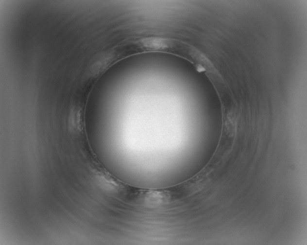 X0000071940330200607071150
