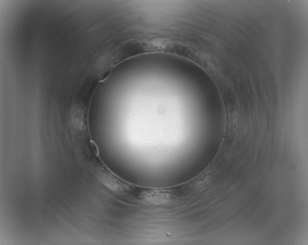 X0000071940331200607071150