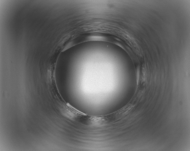 X0000071940333200607071150