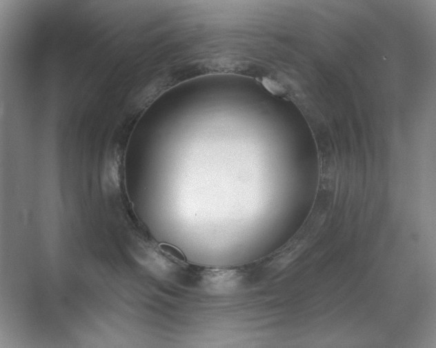 X0000071940334200607071150
