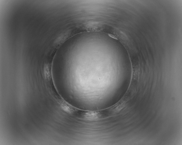 X0000071940335200607071150