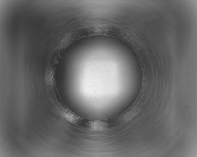 X0000071940336200607071150