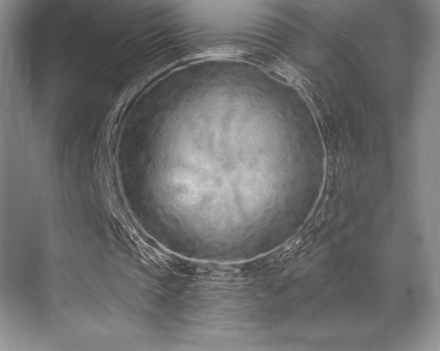 X0000071940337200607071150