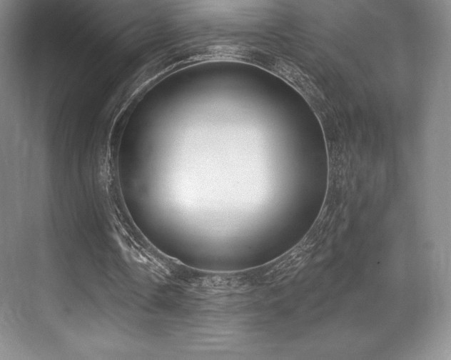 X0000071940338200607071150