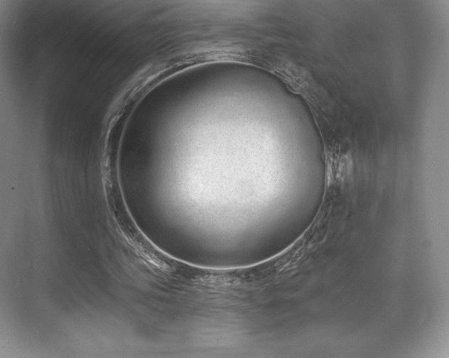 X0000071940339200607071150
