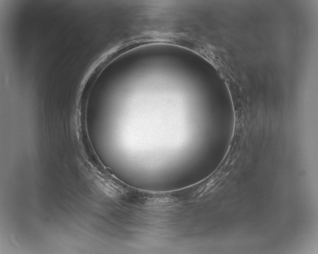 X0000071940342200607071150