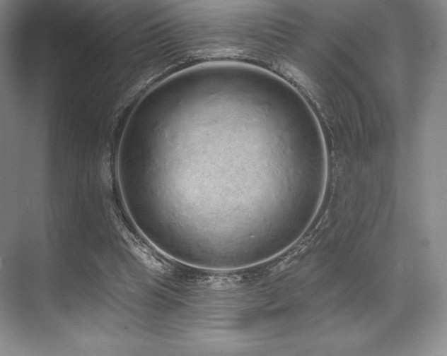 X0000071940345200607071150