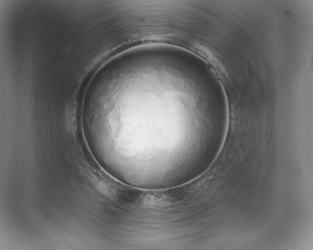 X0000071940346200607071150