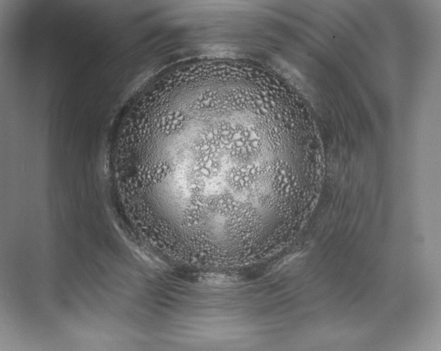 X0000071940347200607071150