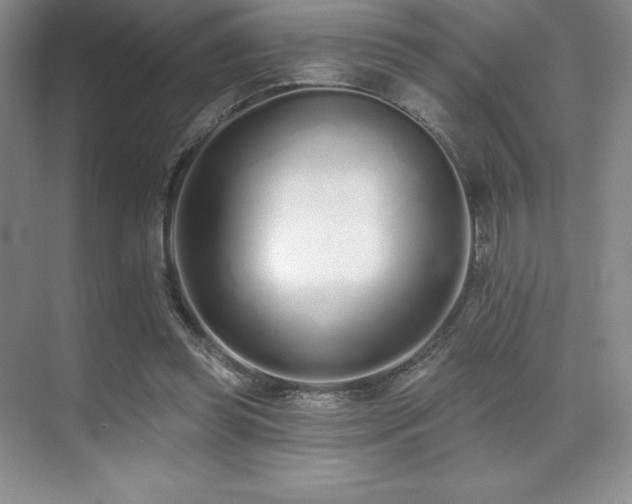 X0000071940349200607071150