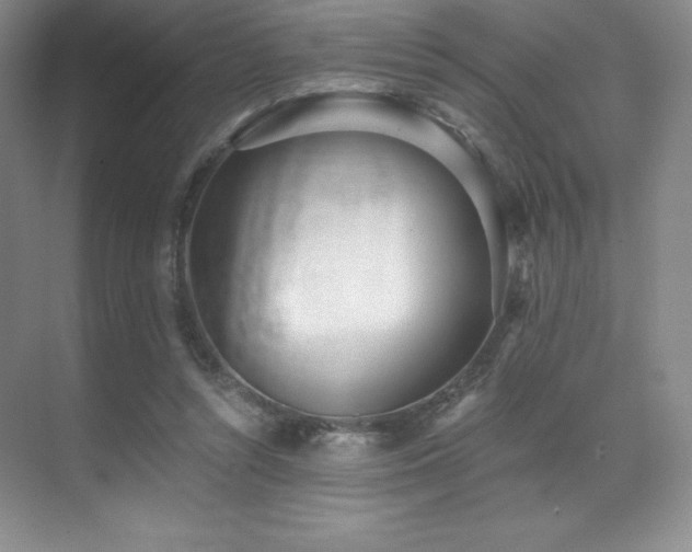 X0000071940352200607071150