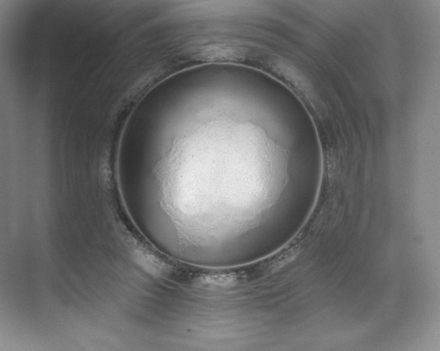 X0000071940353200607071150