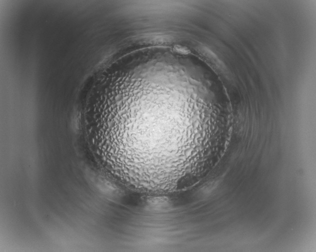 X0000071940355200607071150