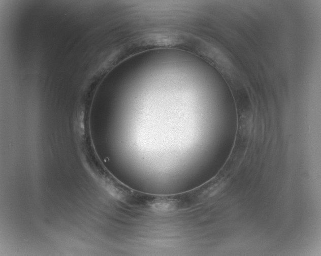 X0000071940358200607071150