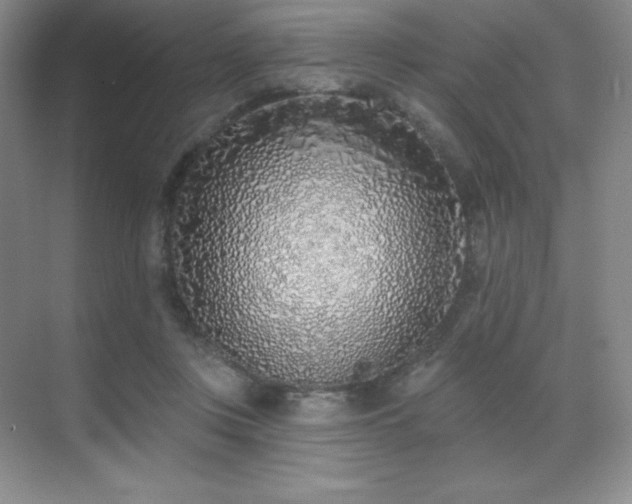 X0000071940359200607071150