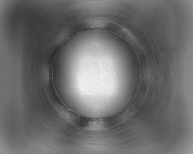 X0000071940362200607071150