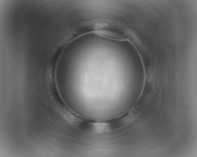 X0000071940363200607071150
