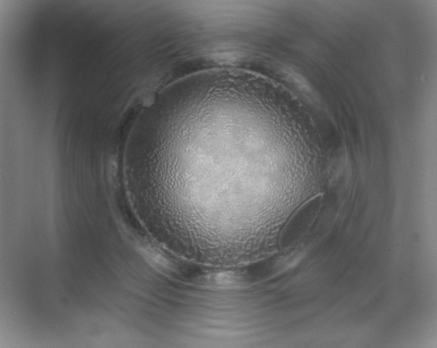 X0000071940365200607071150