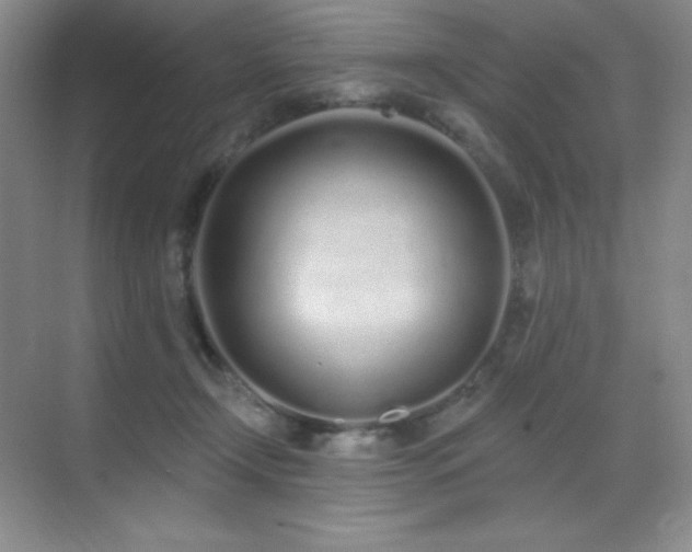 X0000071940366200607071150