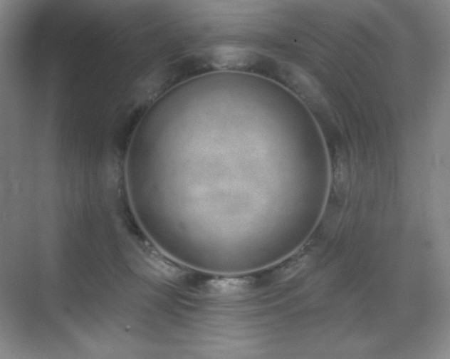 X0000071940367200607071150