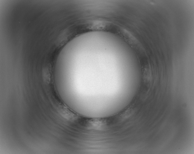 X0000071940370200607071150