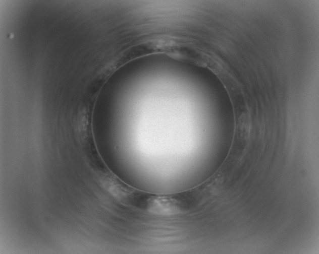 X0000071940372200607071150