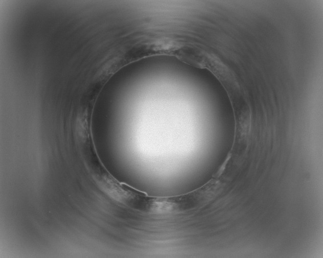 X0000071940376200607071150
