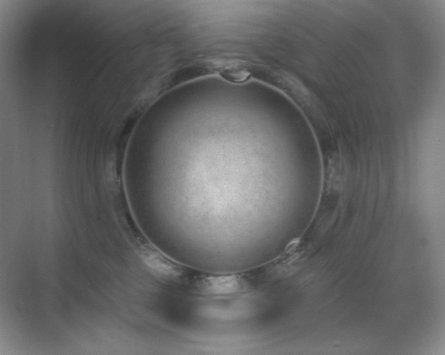 X0000071940377200607071150