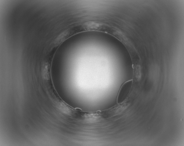 X0000071940378200607071150