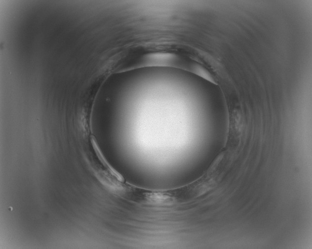 X0000071940380200607071150
