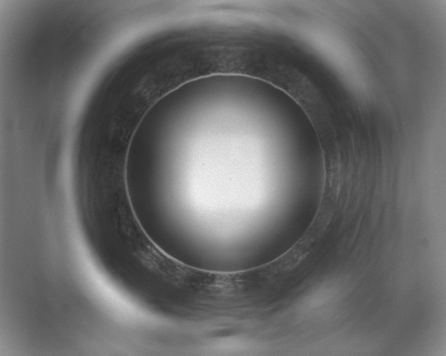 X0000071940383200607071150