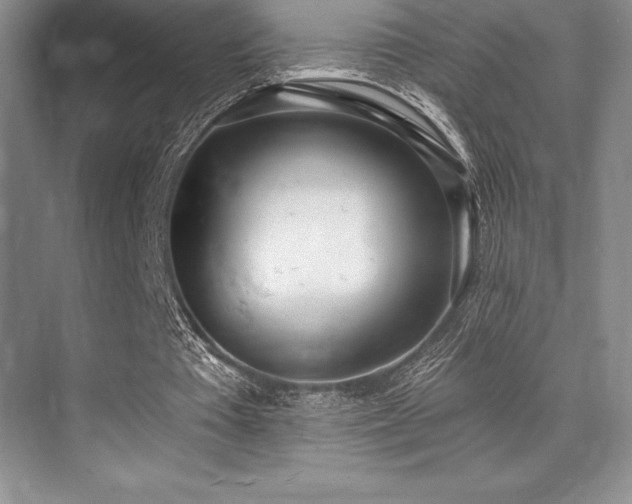 X0000071940385200607071150