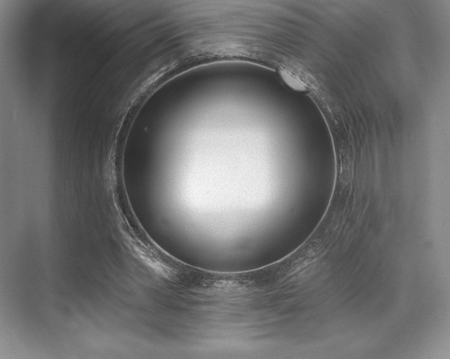 X0000071940390200607071149