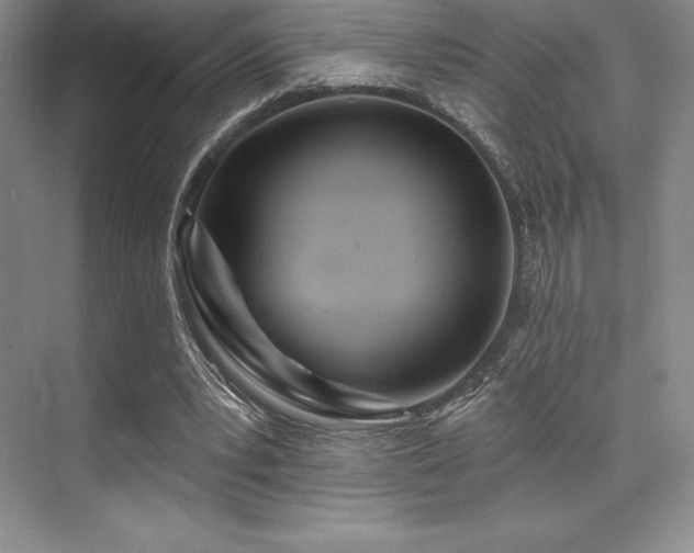 X0000071940391200607071149