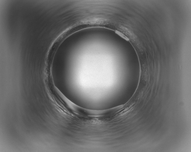 X0000071940392200607071149