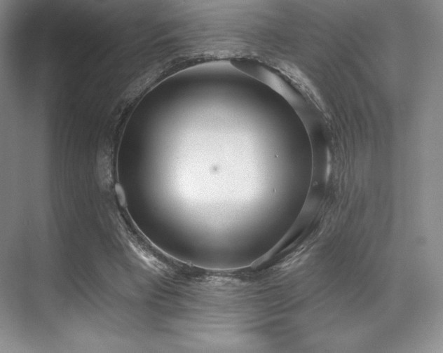 X0000071940393200607071149