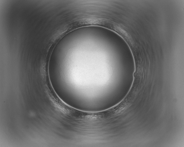 X0000071940394200607071149