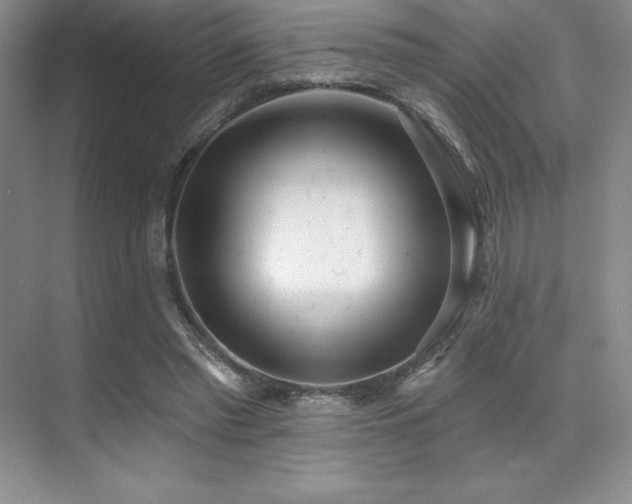 X0000071940397200607071149
