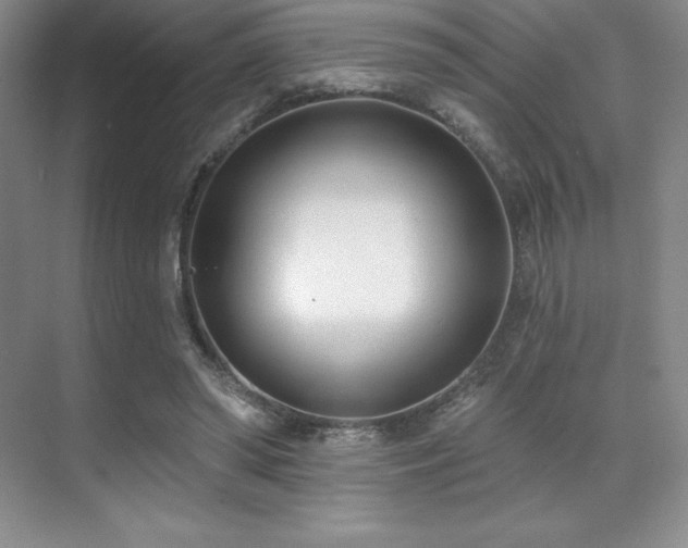 X0000071940398200607071149