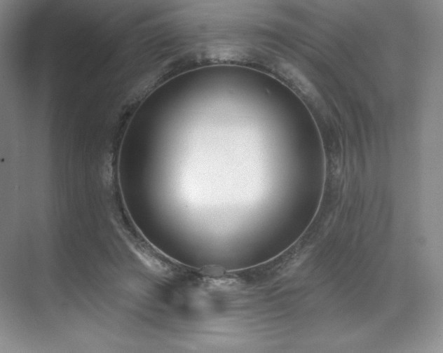 X0000071940401200607071149